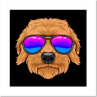 Goldendoodle - cute dog with glasses. Posters and Art